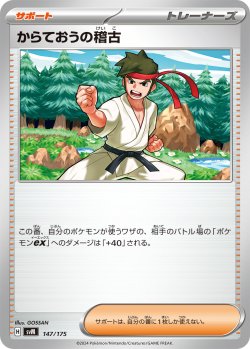 画像1: からておうの稽古[PKM_svM_147/175]※商品説明必読※