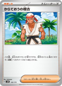 画像1: からておうの稽古[PKM_svM_149/175]※商品説明必読※