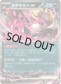 キチキギスex[PKM_svN_002/045]※商品説明必読※
