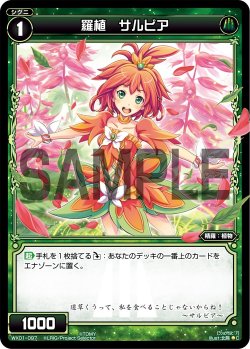 画像1: 羅植 サルビア[WX_01-097_C]