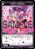 ドライ＝カプセル[WX_04-053_R]