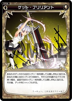 画像1: ゲット・ブリリアント[WX_09-041_C]