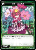羅植 コスモス[WX_09-050_C]
