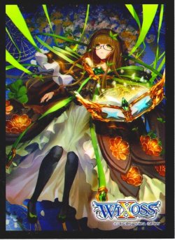 画像1: 【42枚】BOX購入特典スペシャルプロテクト　 参式 一衣[WX24_P2_S04]