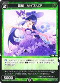 羅植　サイネリア[WX24-P4-080_C]