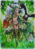 四型貫女 緑姫[WX11-005_FAR]【WX24-P4収録】