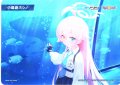 小鳥遊ホシノ[WX25-CD1-TKR10]