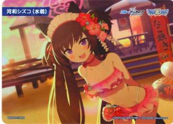画像1: 河和シズコ(水着)[WX25-CP1-TKR39]