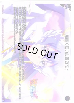 画像1: 気高く咲いた雪の花！[WX26-CP1-018_LC]