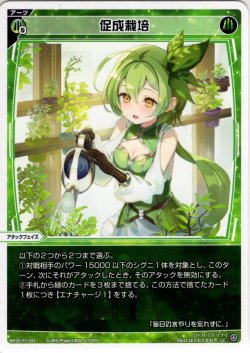 画像1: 【ホイル仕様】促成栽培[WX26-P1-043P_LC]