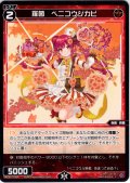 羅菌　ベニコウジカビ[WX26-P1-084_C]