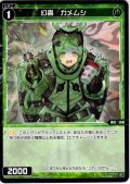 幻蟲　カメムシ[WX26-P1-119_C]