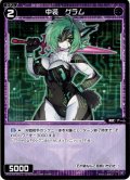 【ホイル仕様】中装　グラム[WXDi_P01-084C]