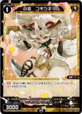 小装　コギツネマル[WXDi_P02-048C]