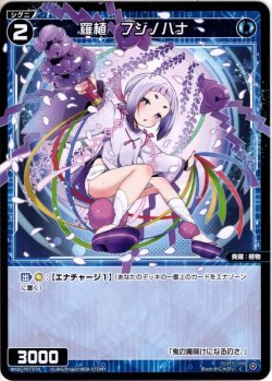 画像1: 羅植　フジノハナ[WXDi_P07-074C]