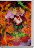 サイドローダー　火露炎 花代・参[WXDi_P11-S18]