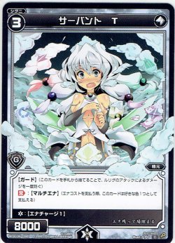 画像1: サーバント T[WXK_06-090C]