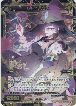 画像1: 【SECRET】GF ハウス[WXK_06-023S]