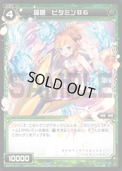 画像1: 【ホイル仕様】羅菌 ビタミンB6[WXK_07-071C]