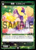 羅菌 ビタミンC[WXK_07-074C]