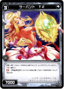 画像1: 【ホイル仕様】サーバント T2[WXK_09-106C]