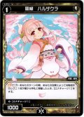 羅植 ハルザクラ[WXK_11-049C]
