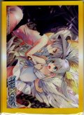 WXK-11BOX封入カードプロテクト[WXK_011-S07]