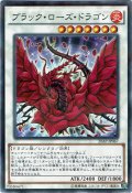 【N-Parallel】ブラック・ローズ・ドラゴン[YGO_20AP-JP067]