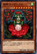 【N-Parallel】椿姫ティタニアル[YGO_DBSS-JP041]