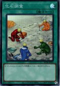 【Super】化石調査[YGO_RC04-JP054]