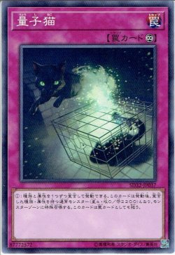 画像1: 【Normal】量子猫[YGO_SD32-JP037]