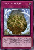 【Normal】ナチュルの神星樹[YGO_SD45-JP037]
