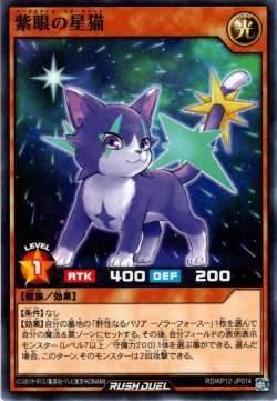 画像1: 【Normal】紫眼の星猫[YGO_RD/KP12-JP014]