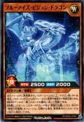 【Normal】ブルーアイズ・ビジョン・ドラゴン[YGO_RD/SD0A-JP004]