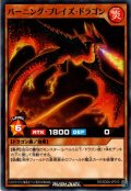 【Normal】バーニング・ブレイズ・ドラゴン[YGO_RD/SD0A-JP013]