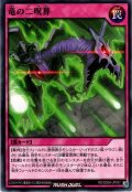 【Normal】竜の二呪葬[YGO_RD/SD0A-JP037]