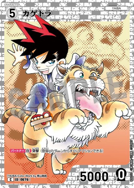 画像1: カゲトラ[ID:0676_CT-B06-055_C] (1)