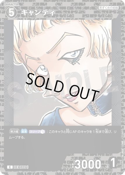 画像1: キャンティ[ID:1035_CT-B09-096_C] (1)