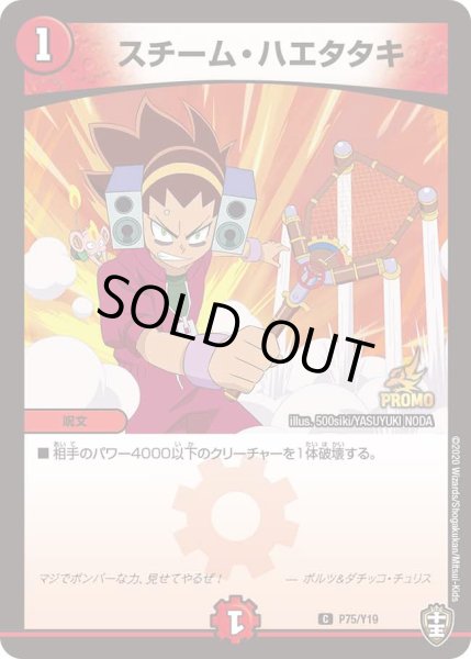 画像1: スチーム・ハエタタキ[DM_P_Y19_75] (1)