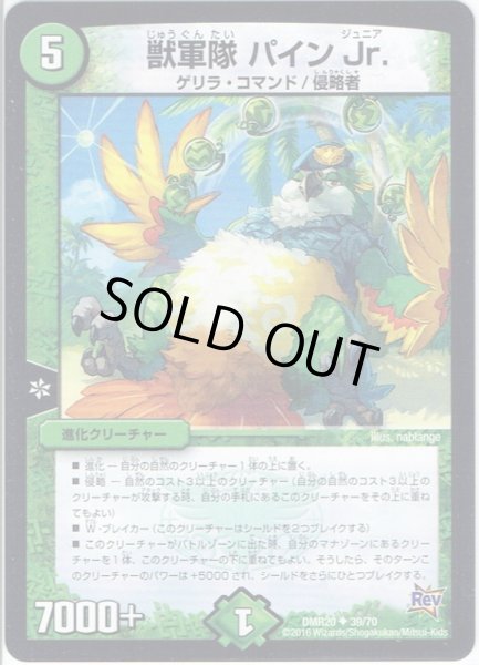 画像1: 獣軍隊 パインJr.[DM_DMR20_39/70] (1)