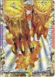 画像5: 終焉の禁断 ドルマゲドンX/FORBIDDEN STAR 〜世界最後の日〜[DM_DMR23_FFL1秘/FFL5秘] (5)