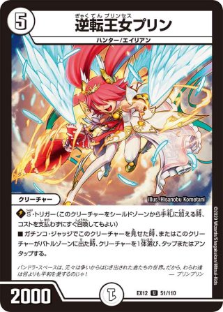 5Cコントロール オリジナル構築済みデッキセット 40枚[DM＿Special