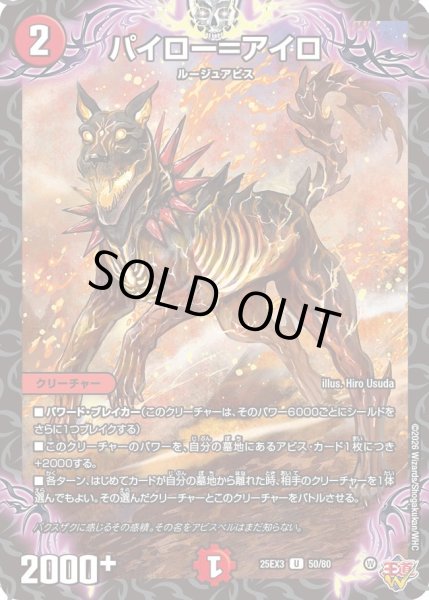 画像1: パイロー＝アイロ[DM_25EX3_50/80_U] (1)