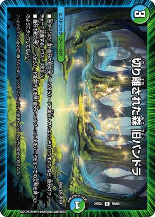 世界のY チャクラ・デル・フィン[DM_26RP1_2/11_SR] - マスターズ