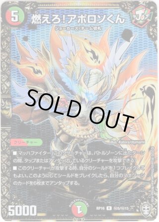 デュエマ　王道編　シークレット　+αまとめ売り Drache der'Zen(シークレットSPレア仕様) SR 5B/10の通販 ※販売