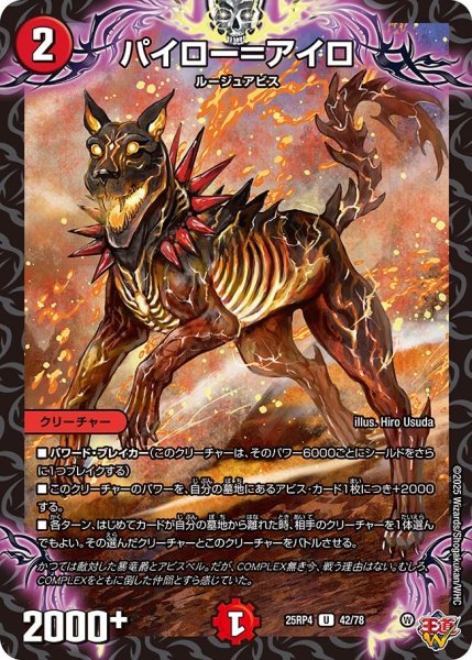 画像1: パイロ＝アイロ[DM_25RP4_42/78_U] (1)