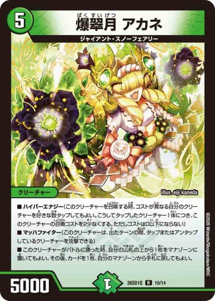 画像1: 爆翠月 アカネ[DM_26SD1Q_10/14_R] (1)
