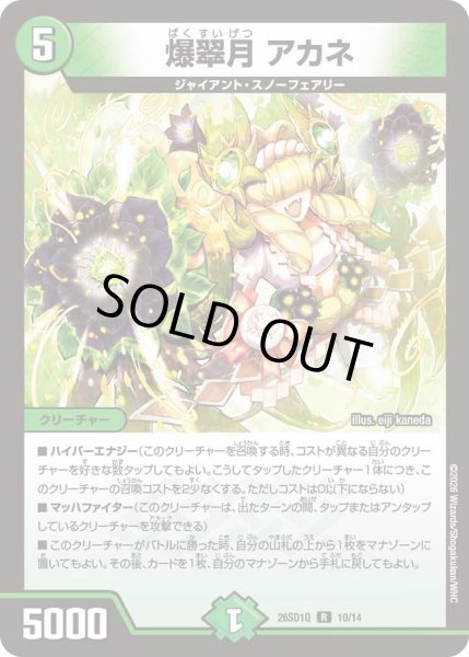 画像1: 爆翠月 アカネ[DM_26SD1Q_10/14_R] (1)