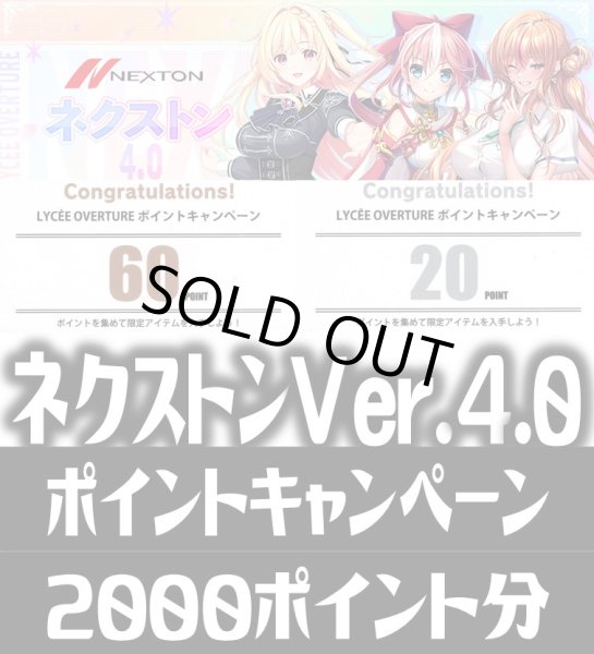 画像1: 【内訳ランダム】2000Point[LO_NEX]【Ver.ネクストン 4.0収録】 (1)