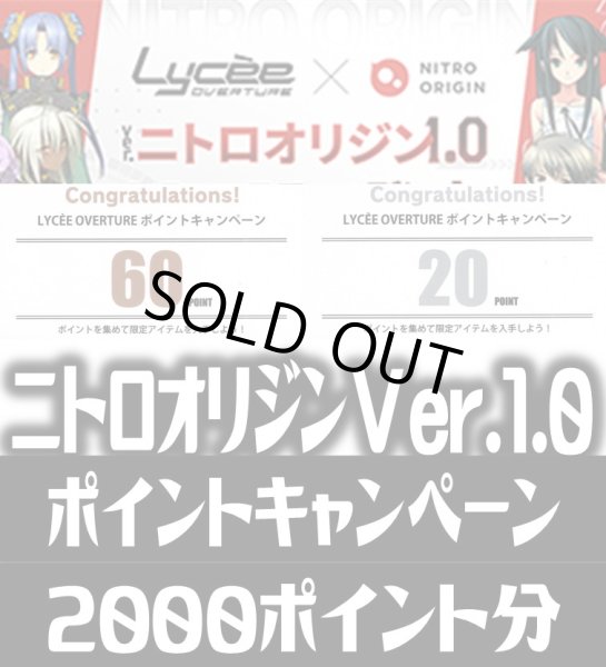 画像1: 【内訳ランダム】2000Point[LO_NIT]【Ver.ニトロオリジン 1.0収録】 (1)